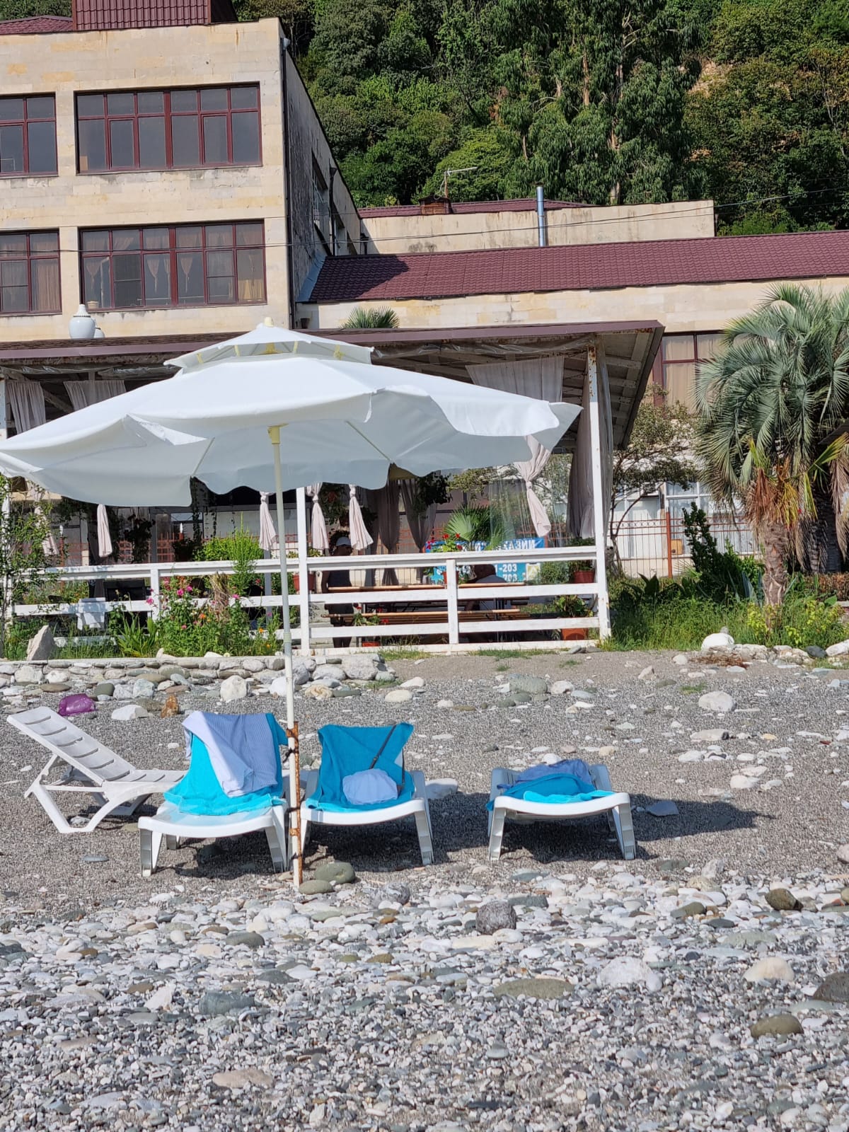 Фото Континент Гагра