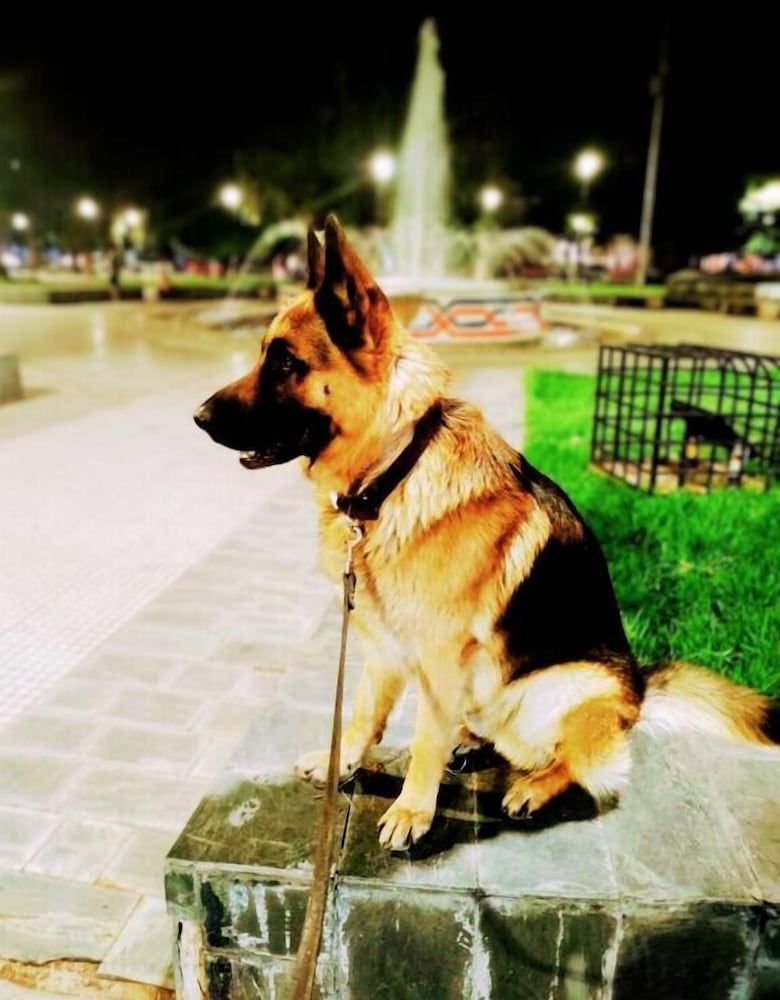 Фото Hotel Windsor