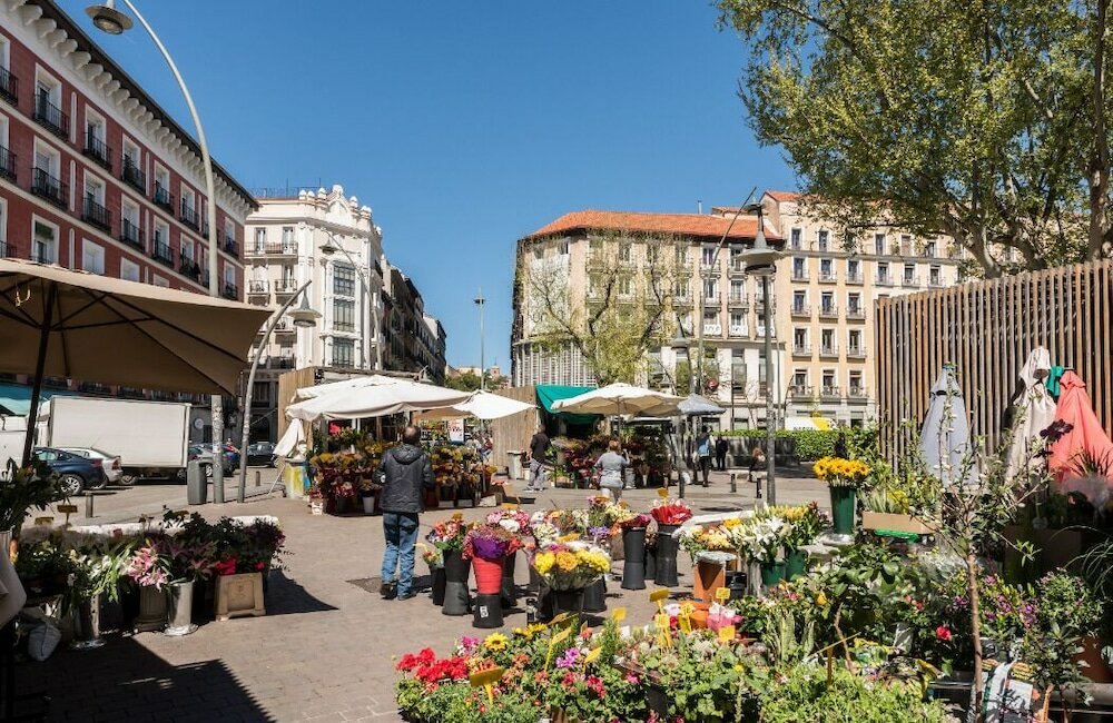 Фото Cozy Urban Apt. Historic District - Sol