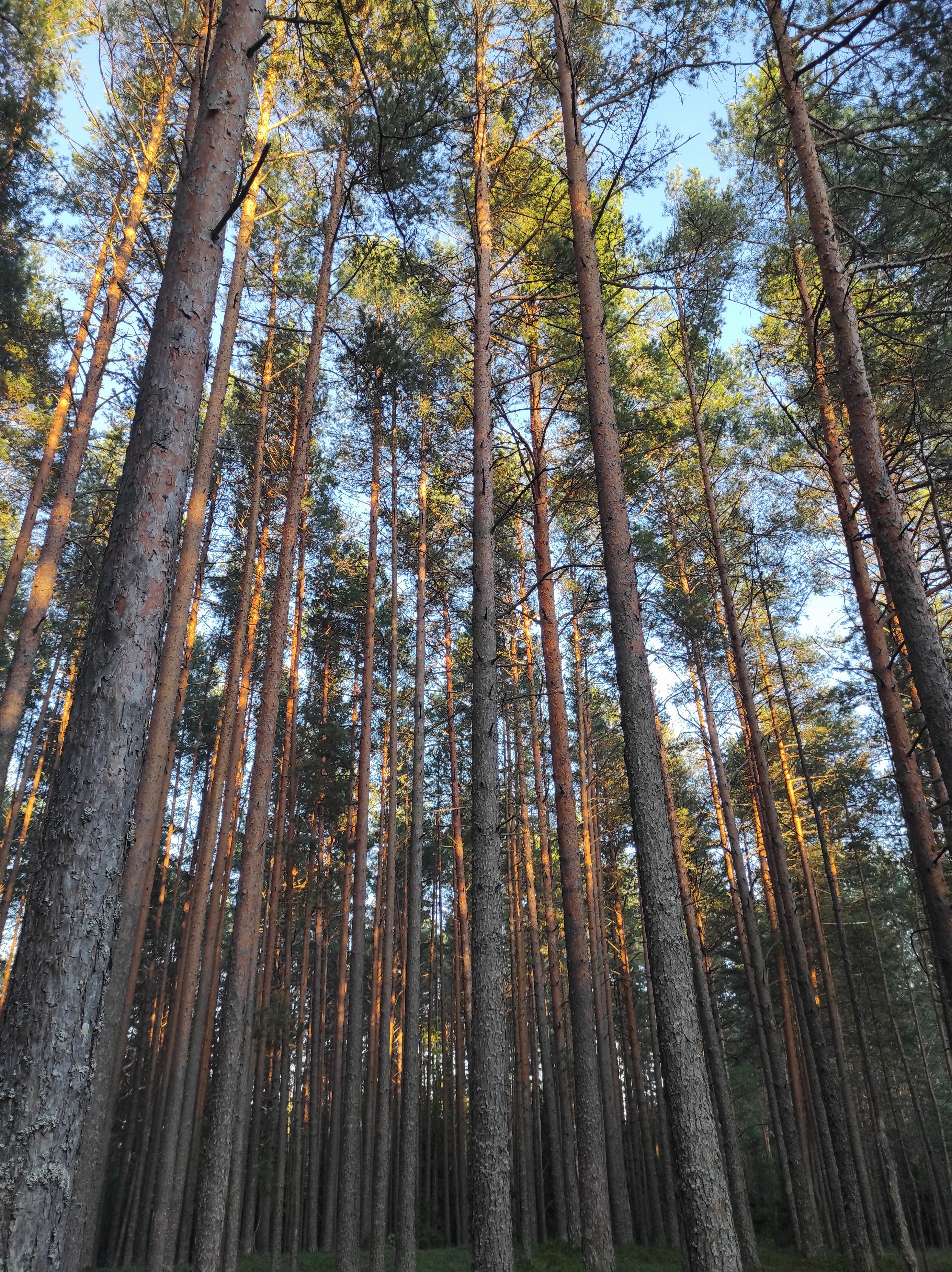 Фото Вселуг
