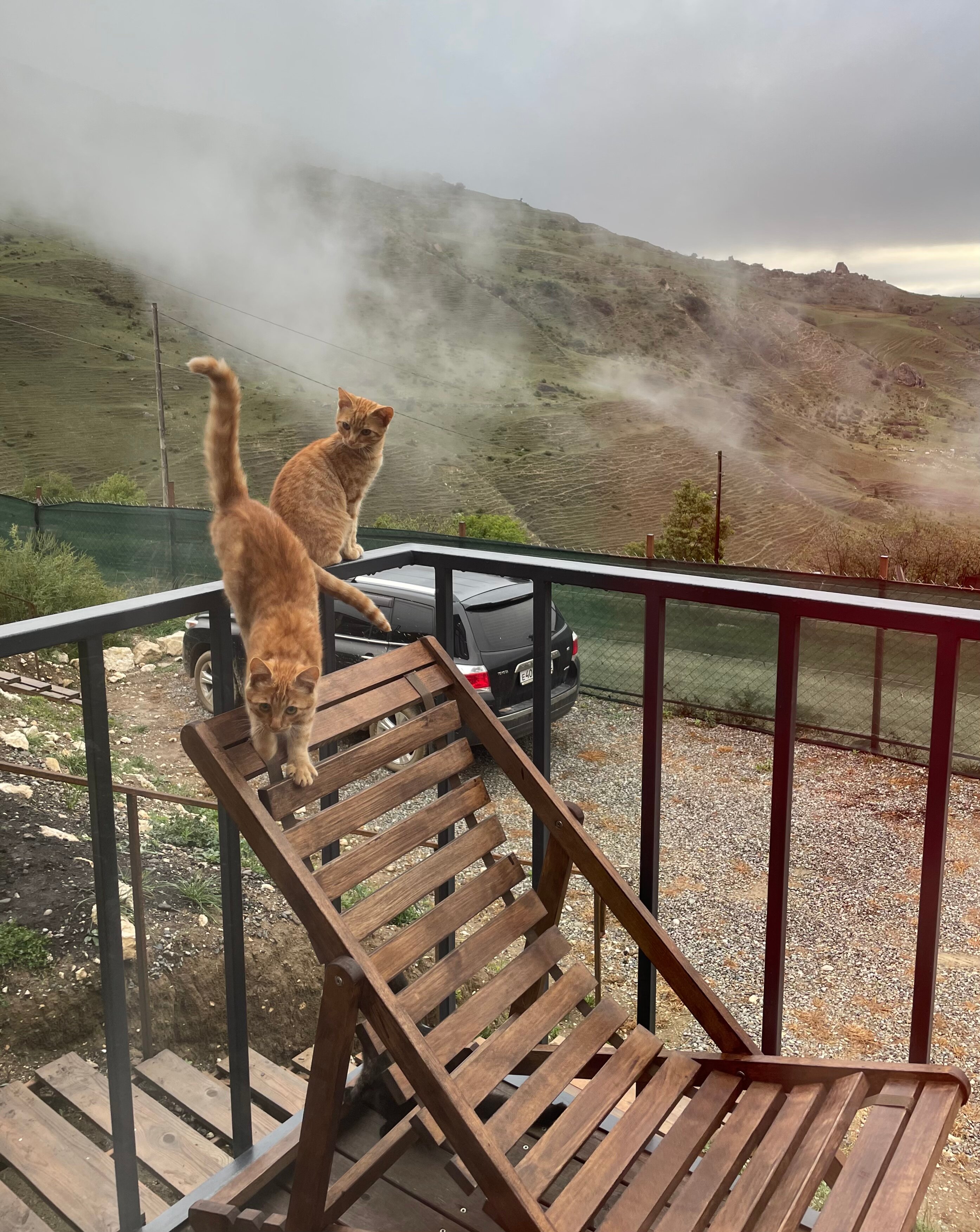 Фото Chilli bro's camp