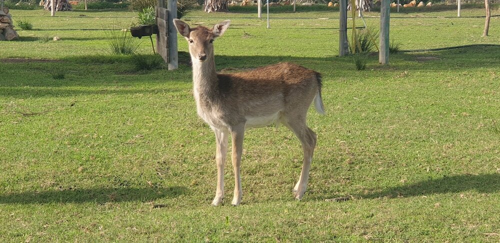 Фото Quinta das Origens