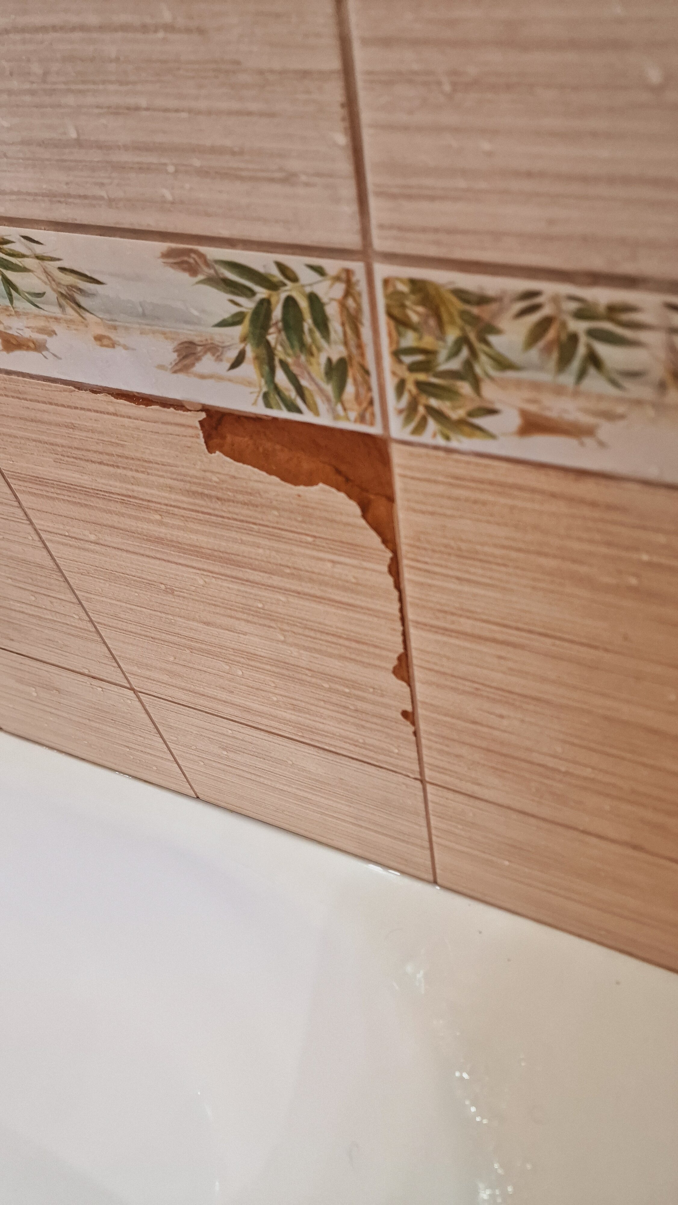 Фото Клуб путешественников