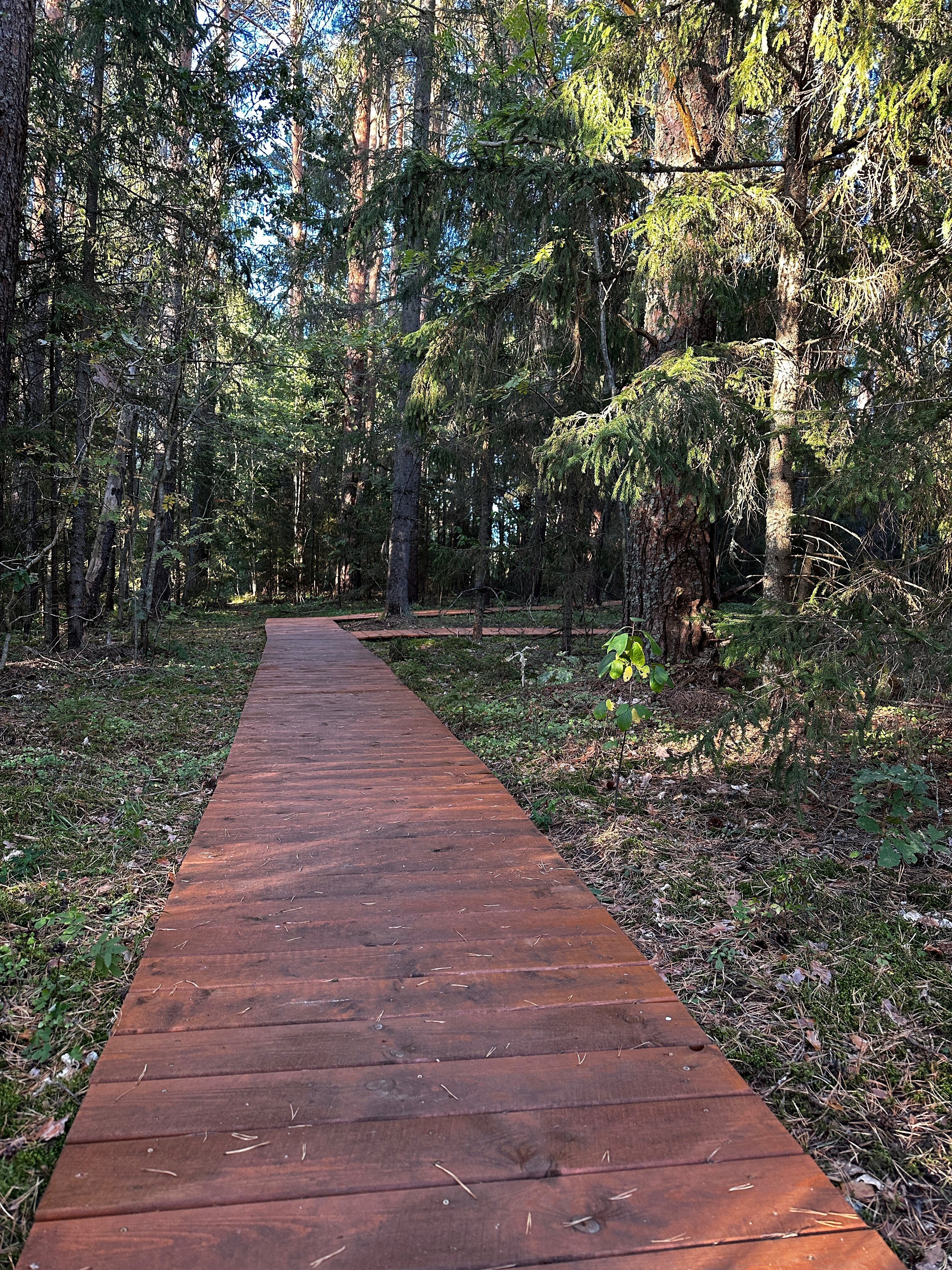 Фото Селигерия