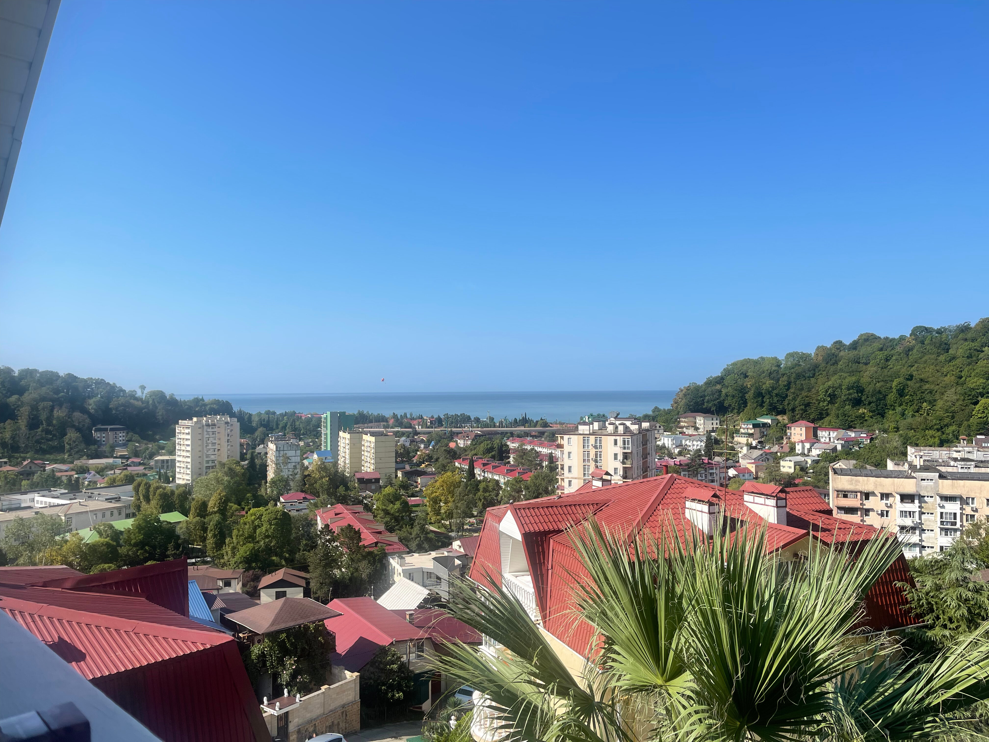 Фото Аист и Капуста