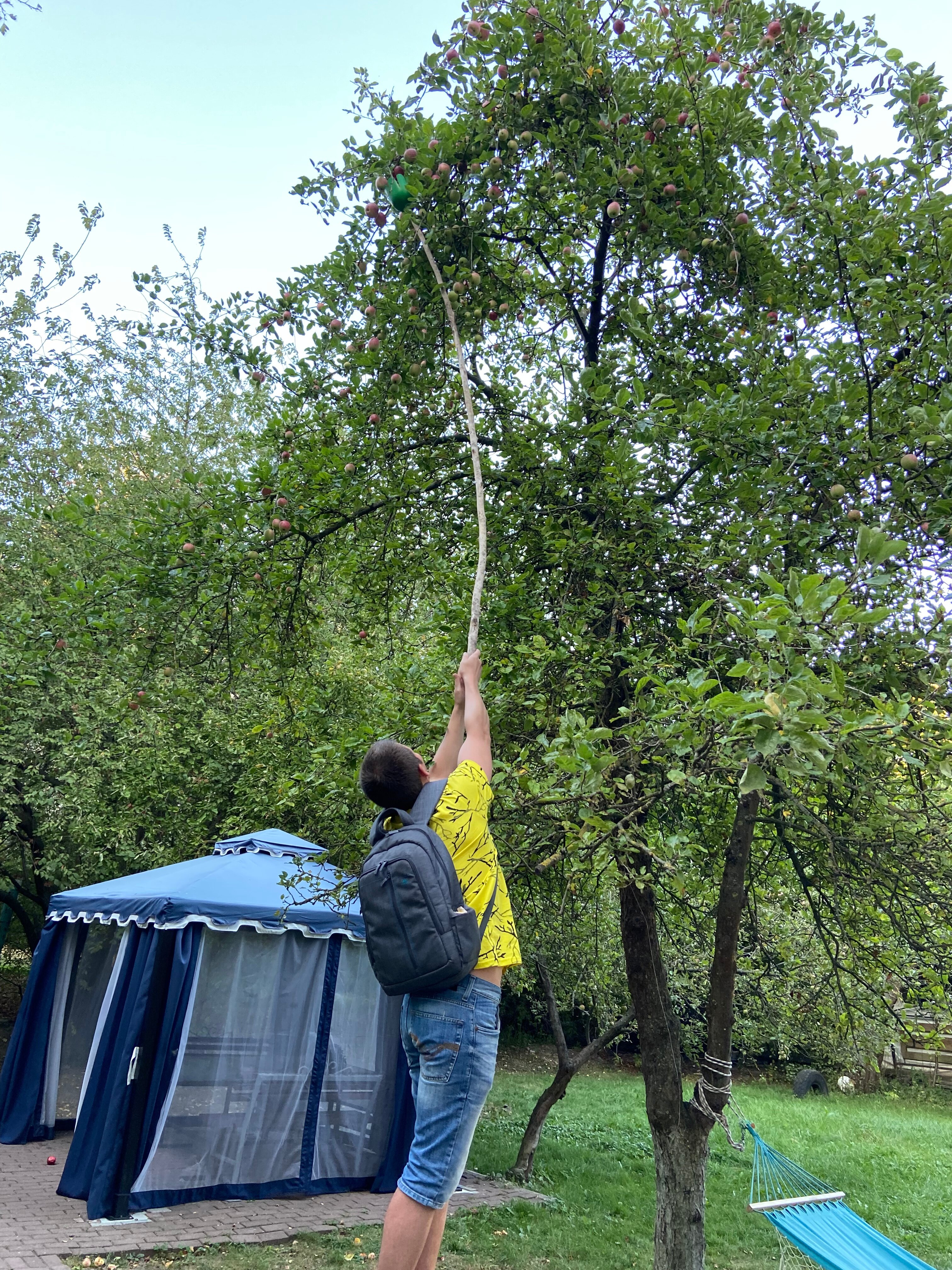 Фото Гестия