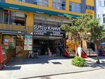 Shefkat Yayıncyilyik (Istanbul, Fatih, Balabanaga Neighborhood, Buyuk Resit Pasha Street, 16A), bookstore