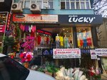 Inci Han (İstanbul, Fatih, Mercan Mah., İsmetiye Cad., 4), centro de negocios