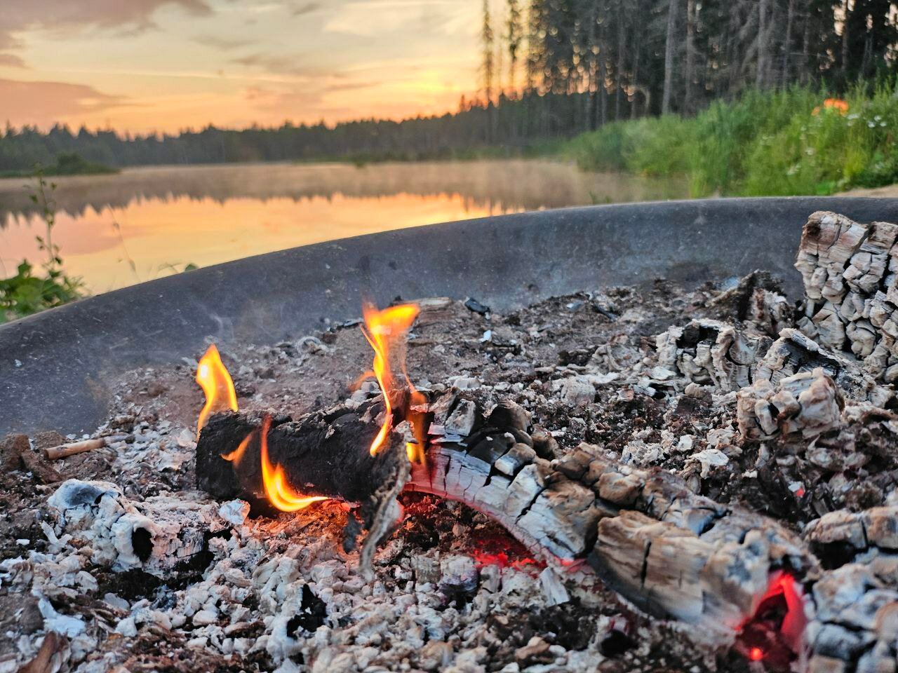 Фото Заповедник