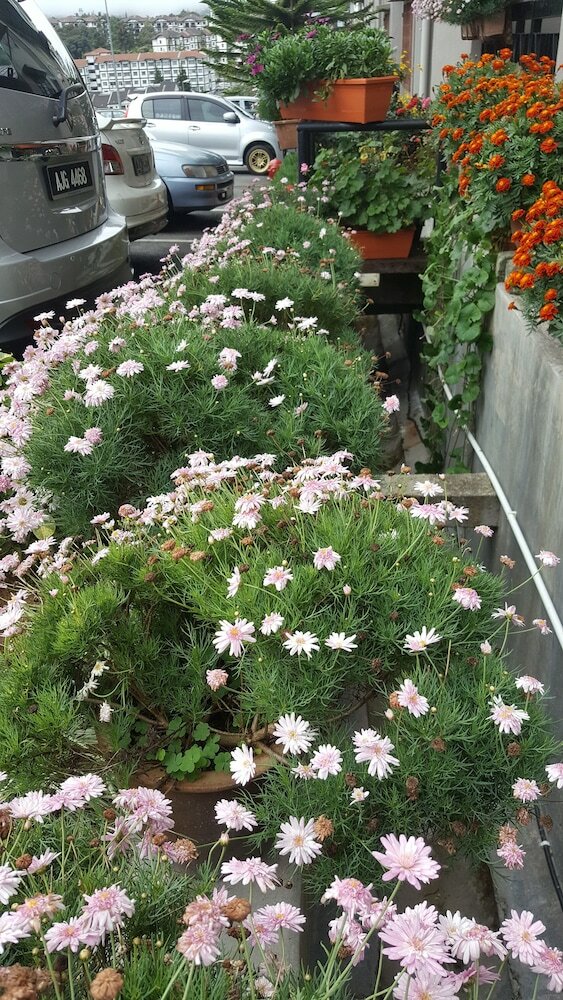 Фото Kpw at Royal Lily Apartment