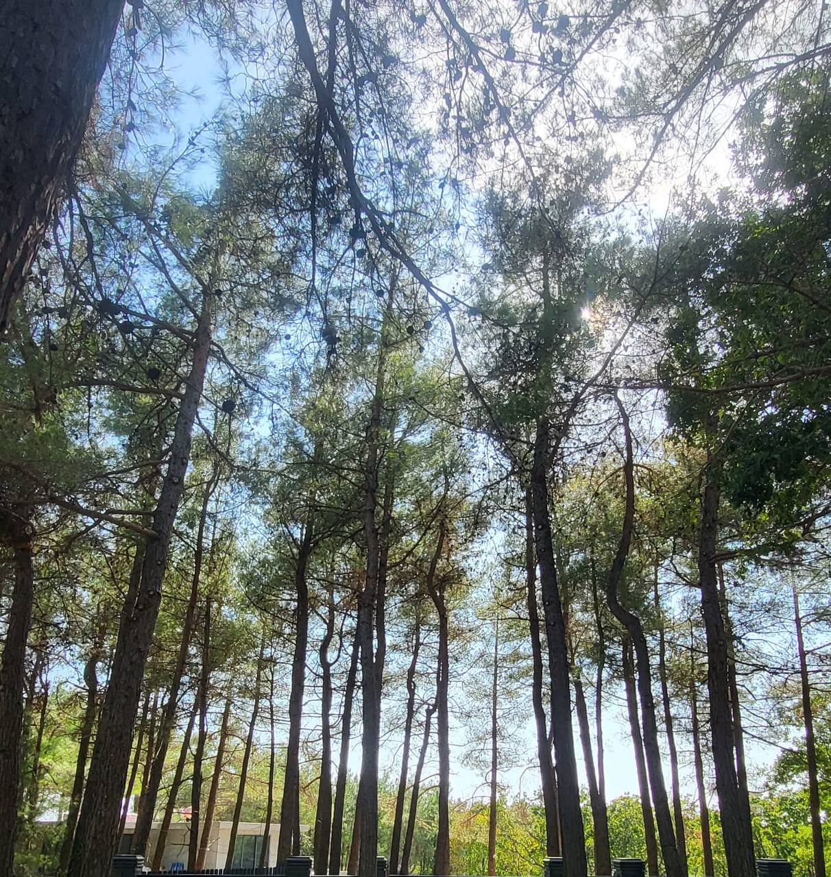 Фото Домик туриста