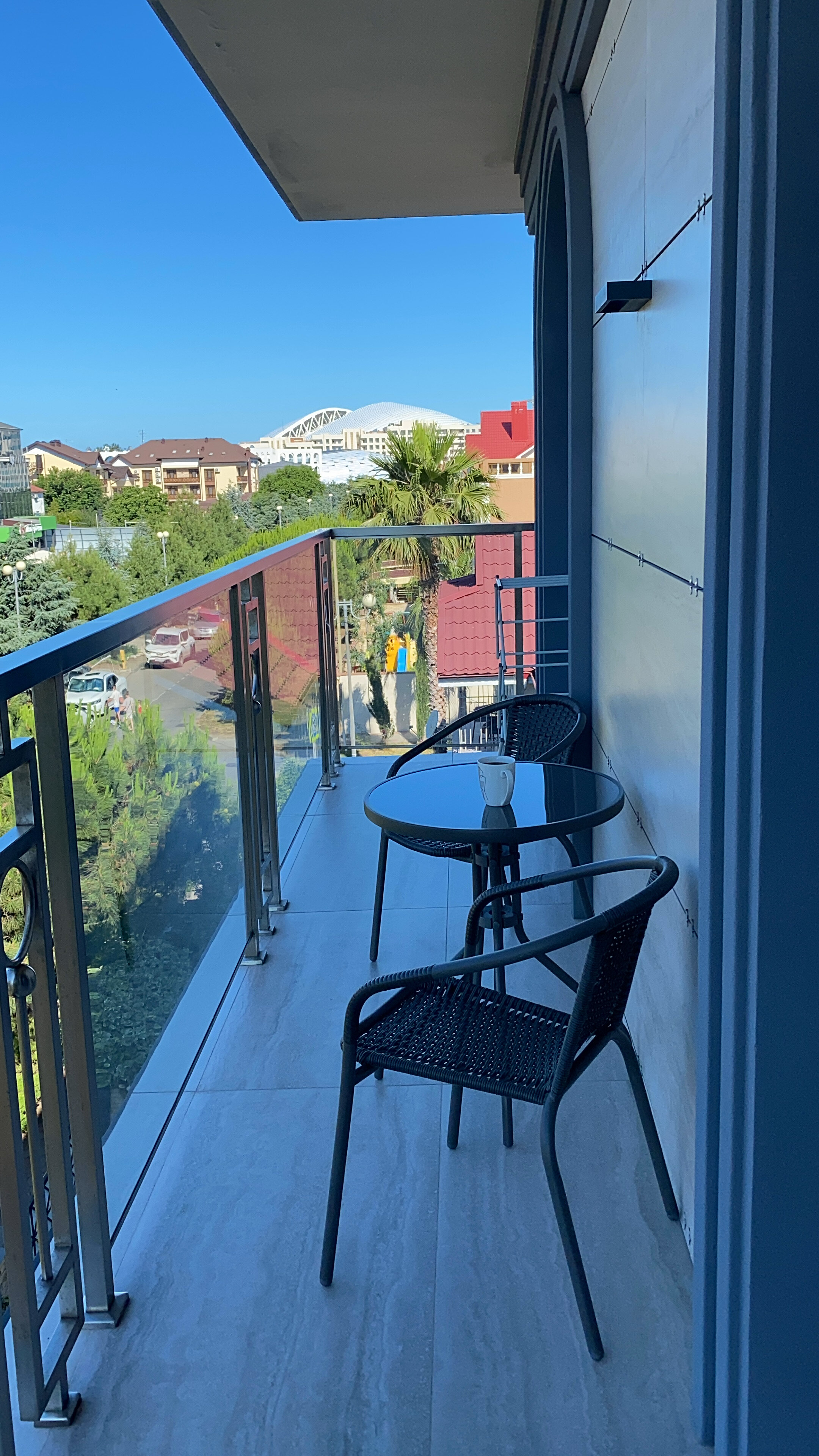 Фото Две оливы