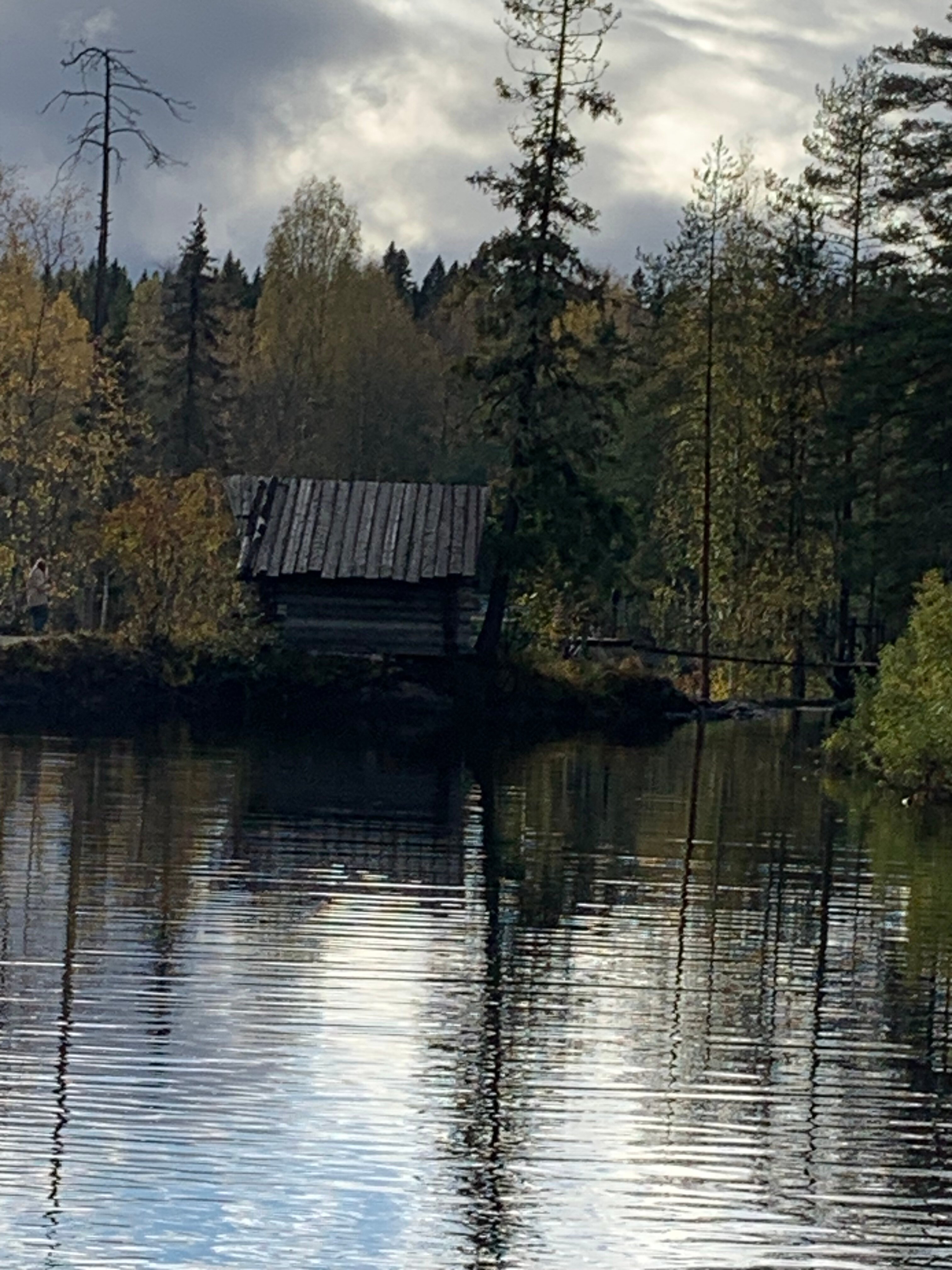 Фото Хутор Васильевых