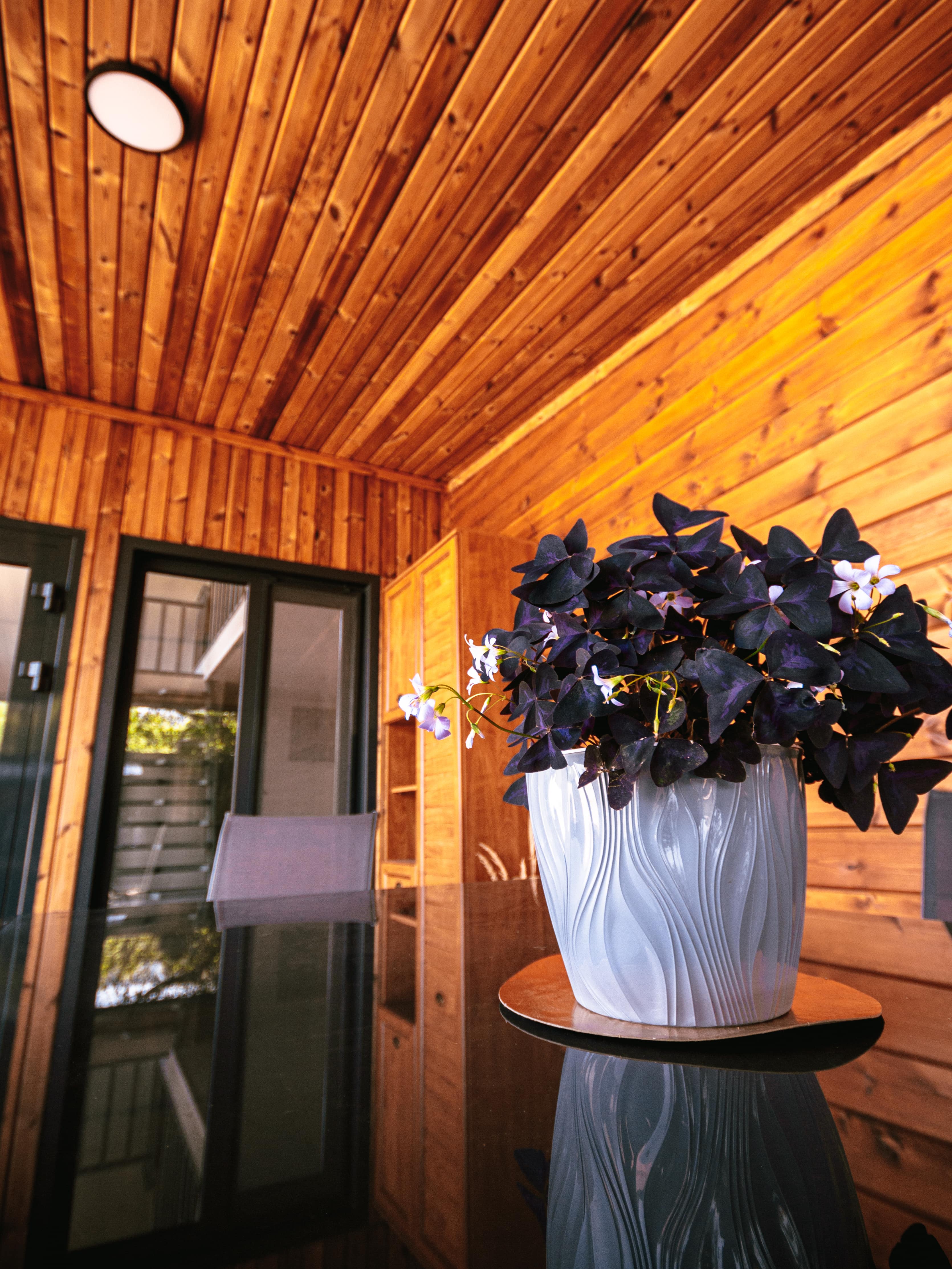 Фото Среда Обитания