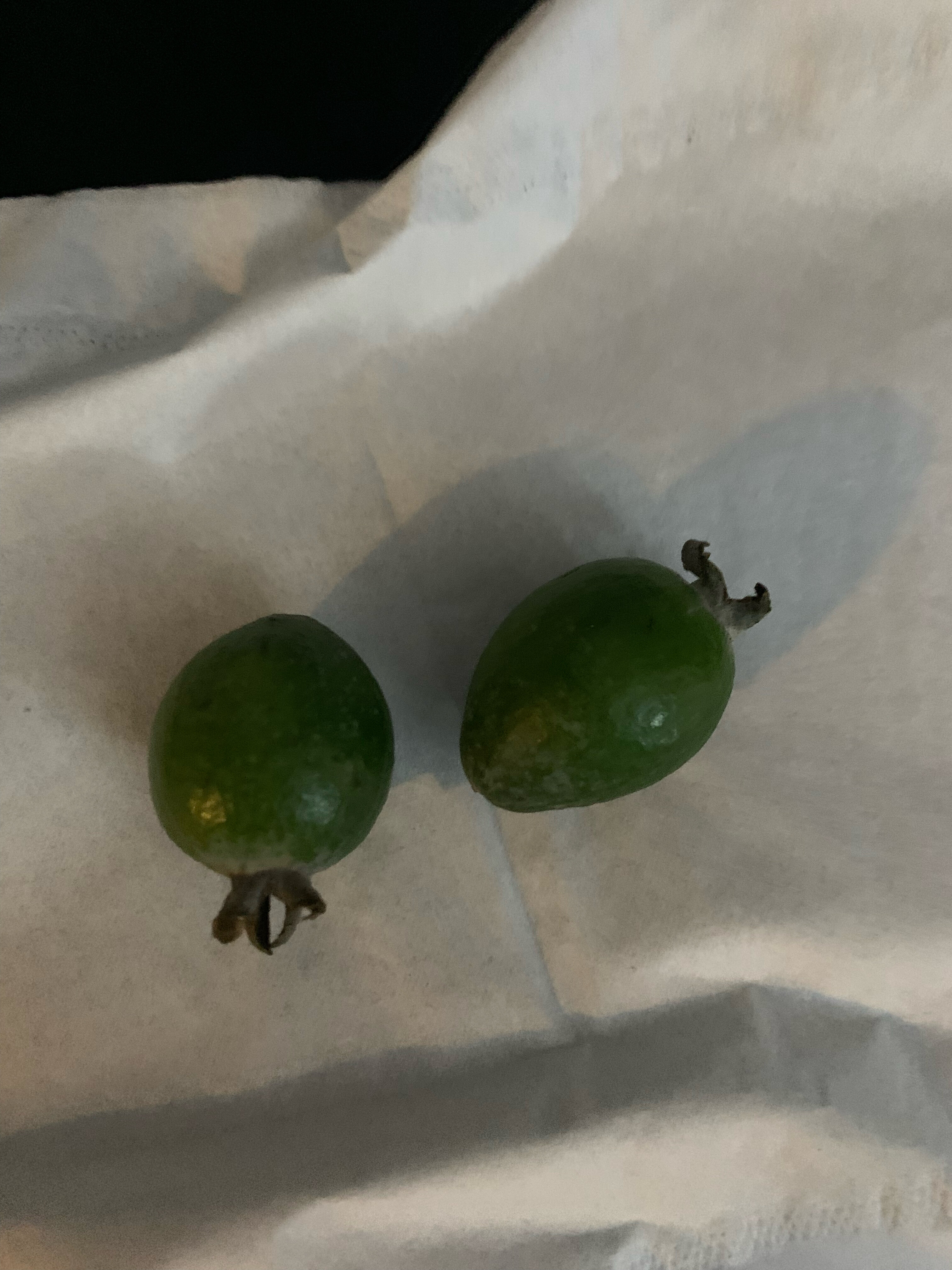 Фото Premium Park Hotel