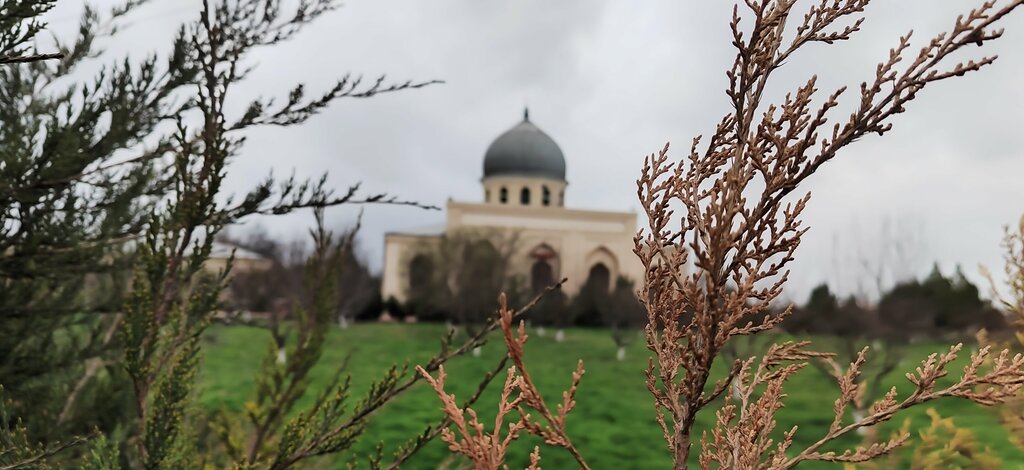 Mosque Mosque, Tashkent Province, photo