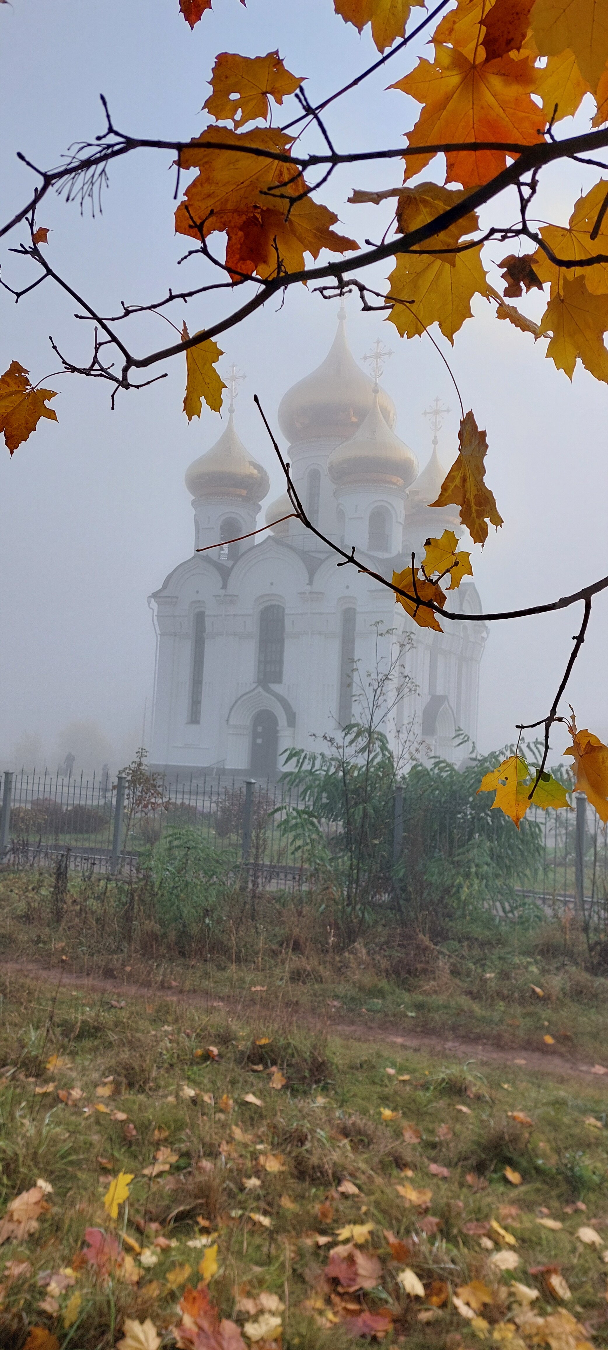Фото Бобачёвская роща