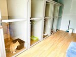 Cat's house (Kommunisticheskaya Street, 6), pet hotel
