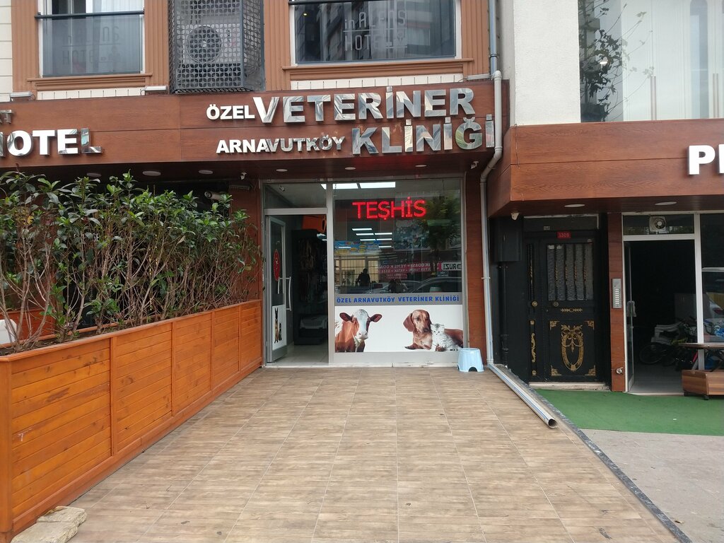 Veteriner klinikleri Özel Arnavutköy Veteriner Kliniği Hek. Ali Yıldızbaş, Arnavutköy, foto