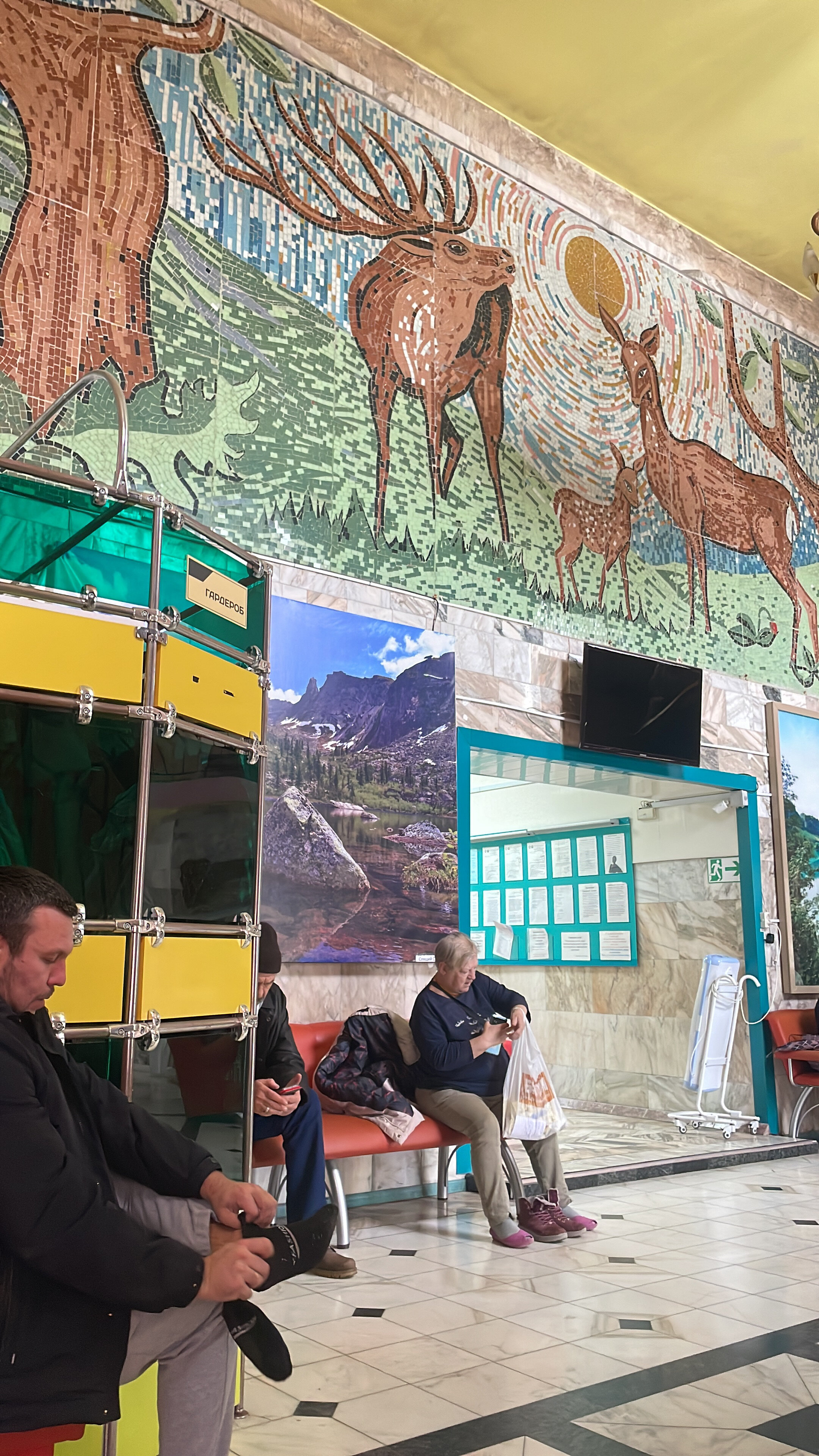 Фото Сосновый бор