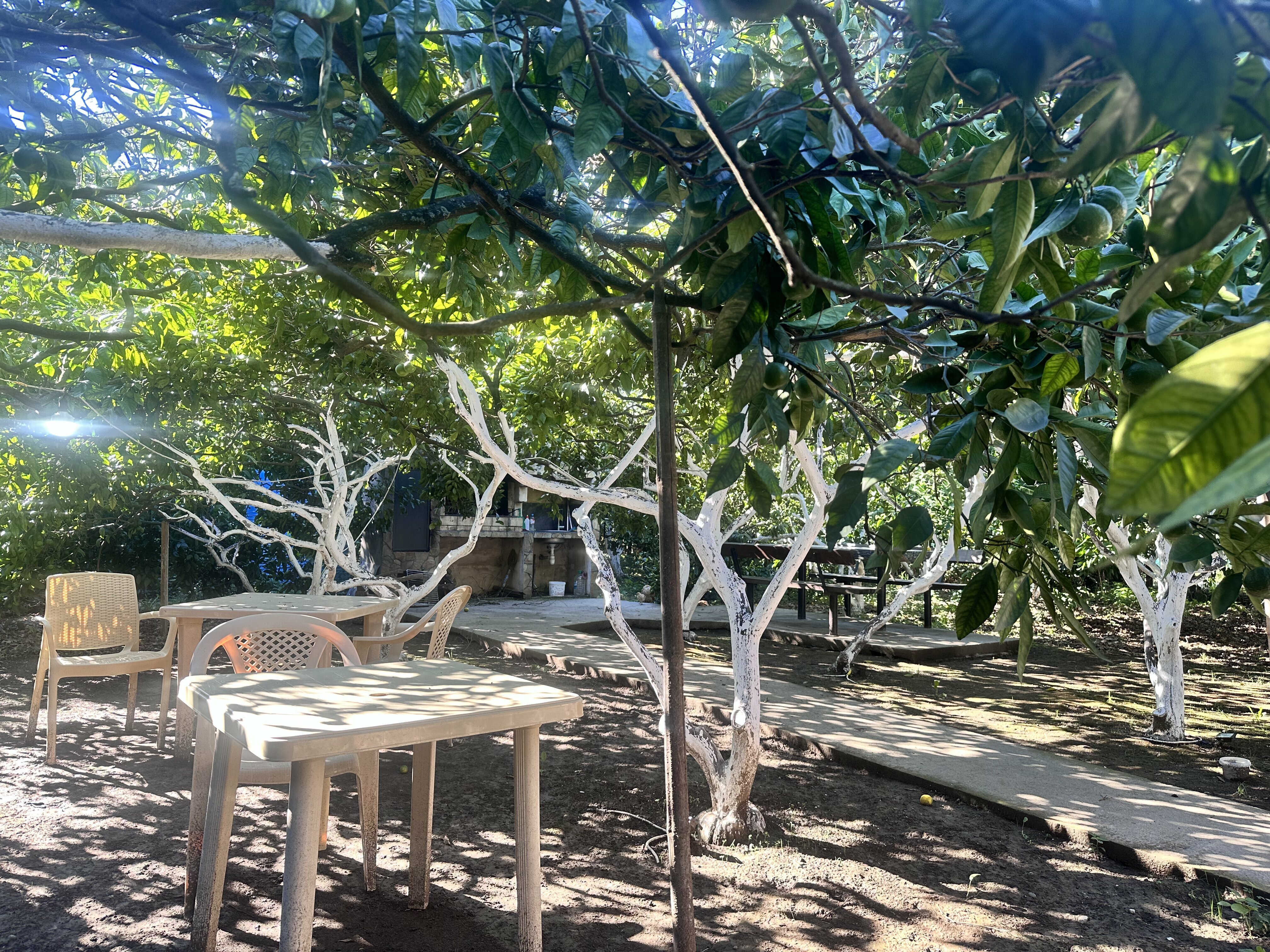 Фото Лето