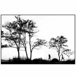 Berama Amateur Photography Art Association (İzmir, Bergama District, Barbaros Mah., 1. Mescit Altı Sok., 20), environmental organization