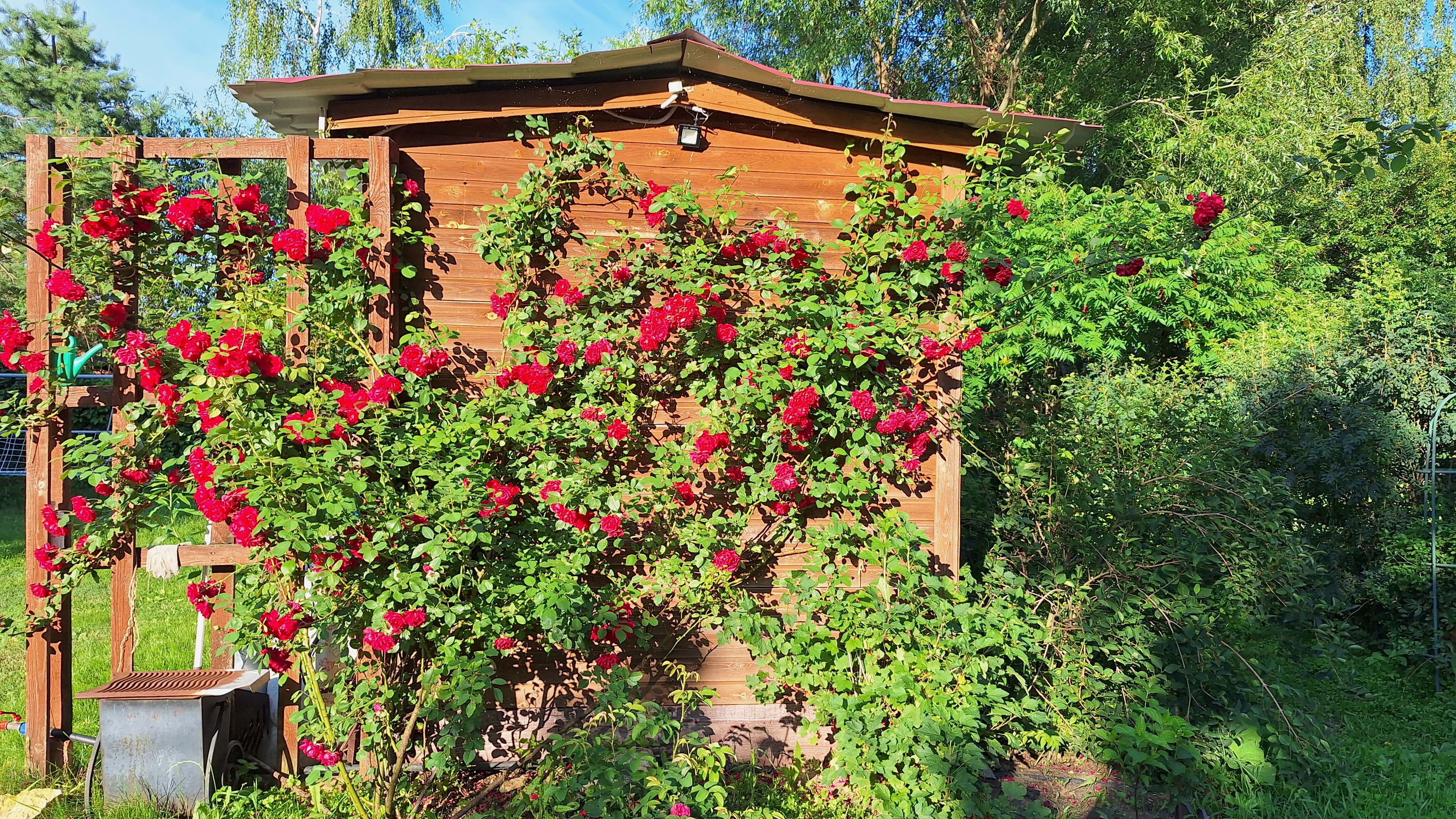 Фото Теплый хутор