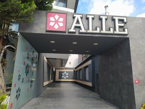 Alle Saglik (Istanbul, Atasehir, Barbaros Neighborhood, Sutcu Yolu Avenue, 85A/1), medical center, clinic
