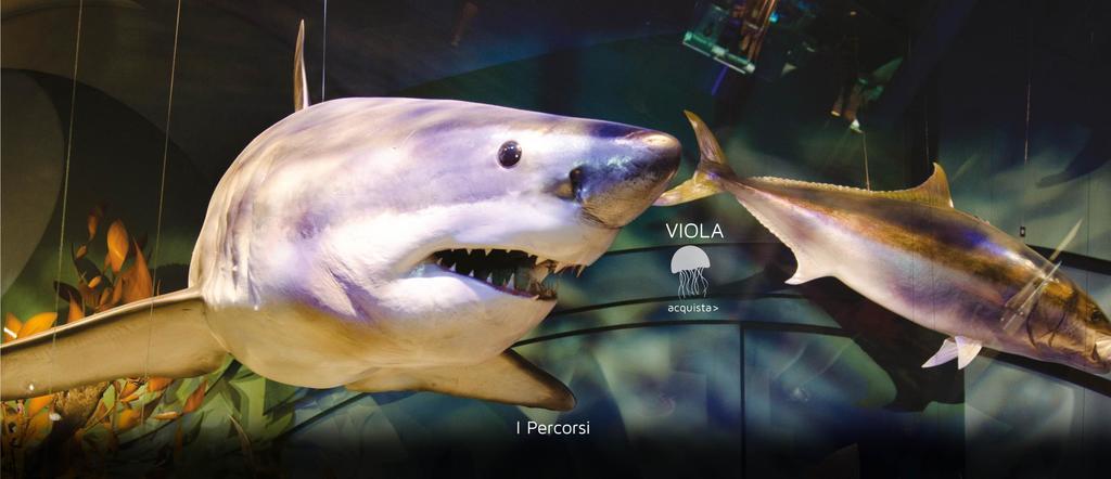 Фото Residence Domus