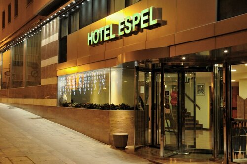 Гостиница Hotel Espel