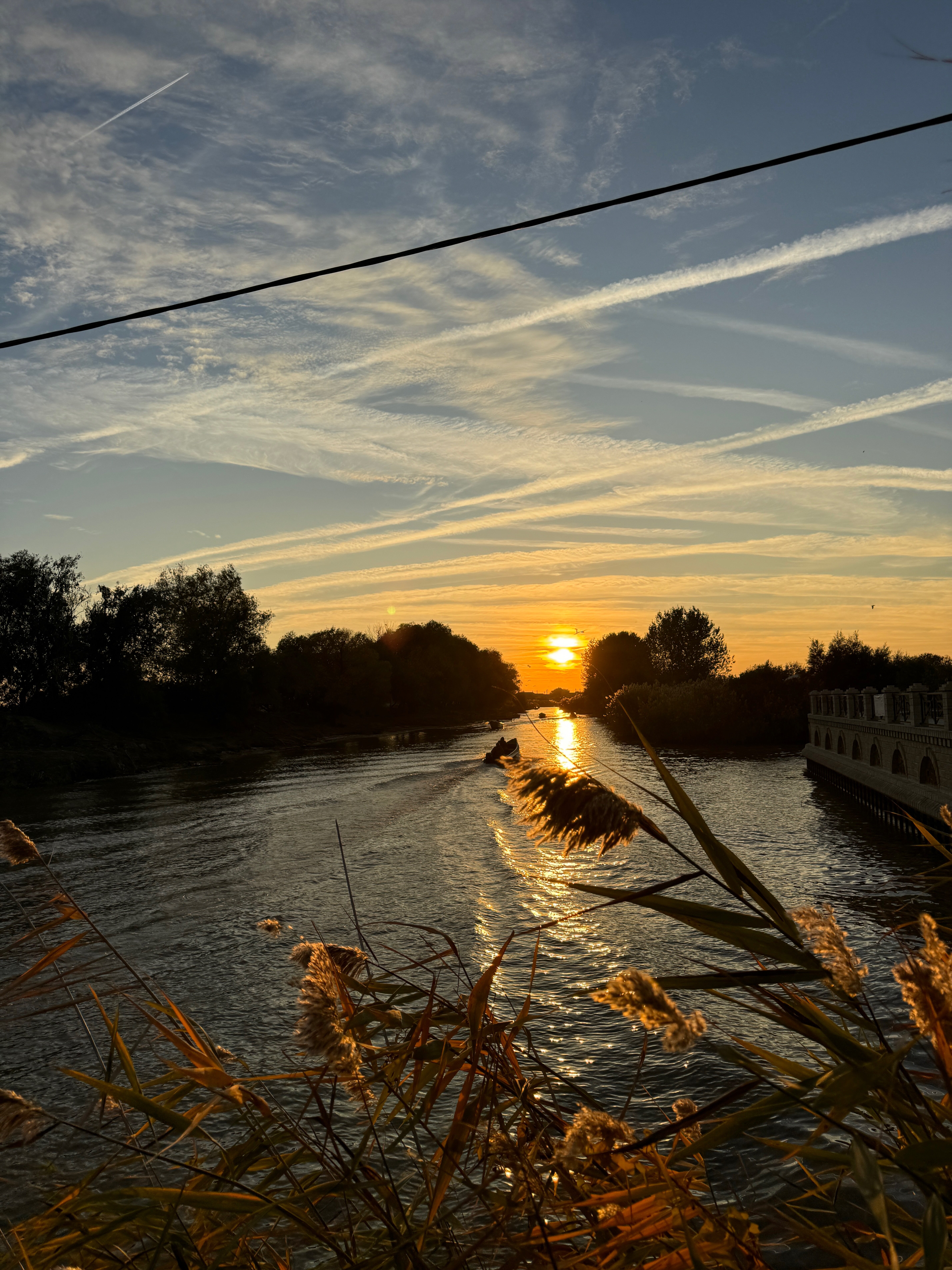 Фото Ковчег