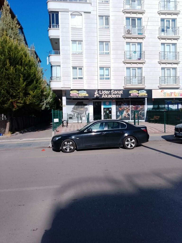 Educational center Lider Dance and Music Academy, Ankara, photo