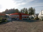 Strawberry_44 (Kostromskoy rayon, Serednyakovskoye selskoye poseleniye, derevnya Lezhnevo) ، تنظيم فعاليات الأطفال