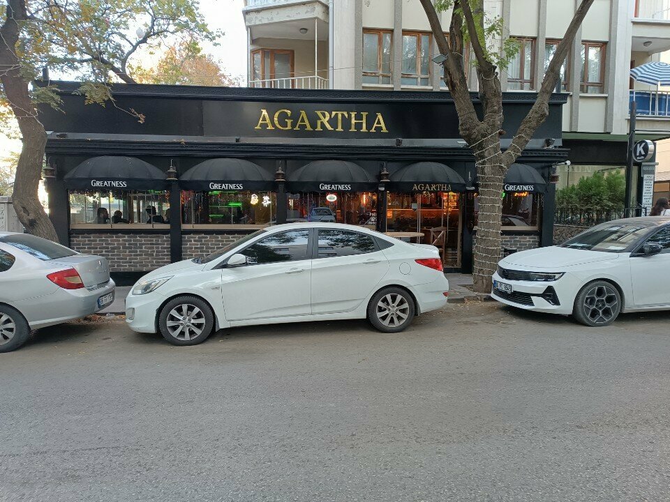 Bar, pub Agartha Pub, Ankara, photo