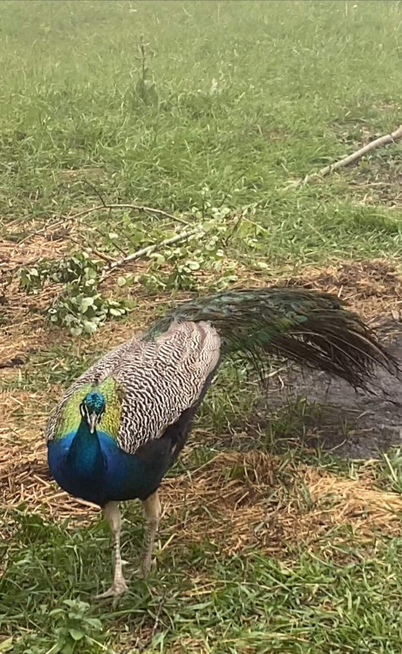 Фото Горячий песок