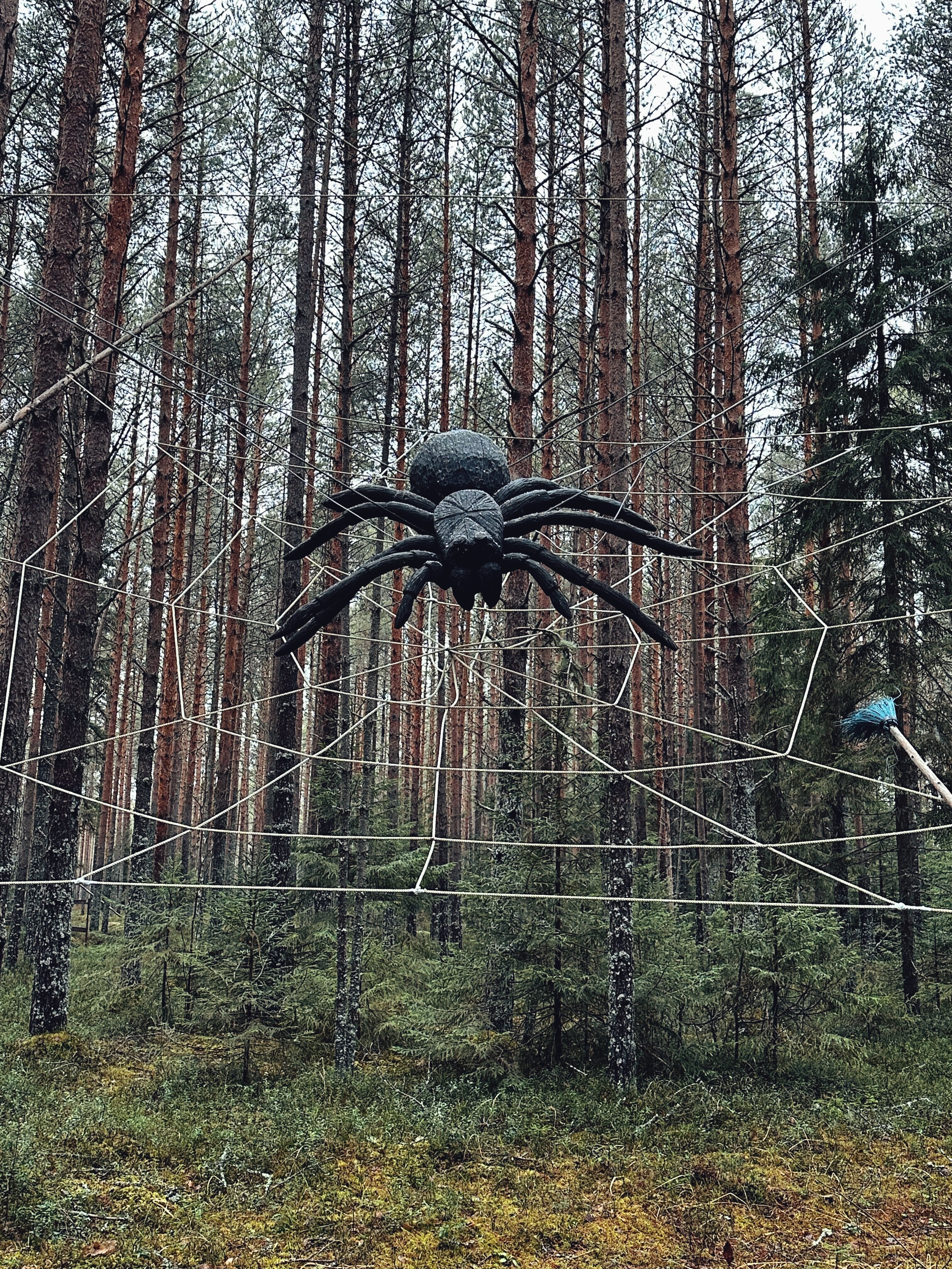 Фото Вотчина Деда Мороза