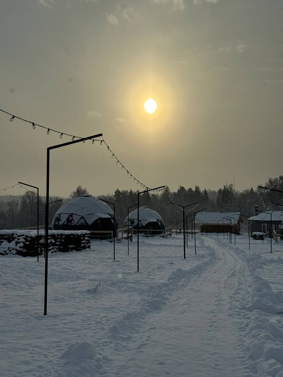 Фото Муза Рузы