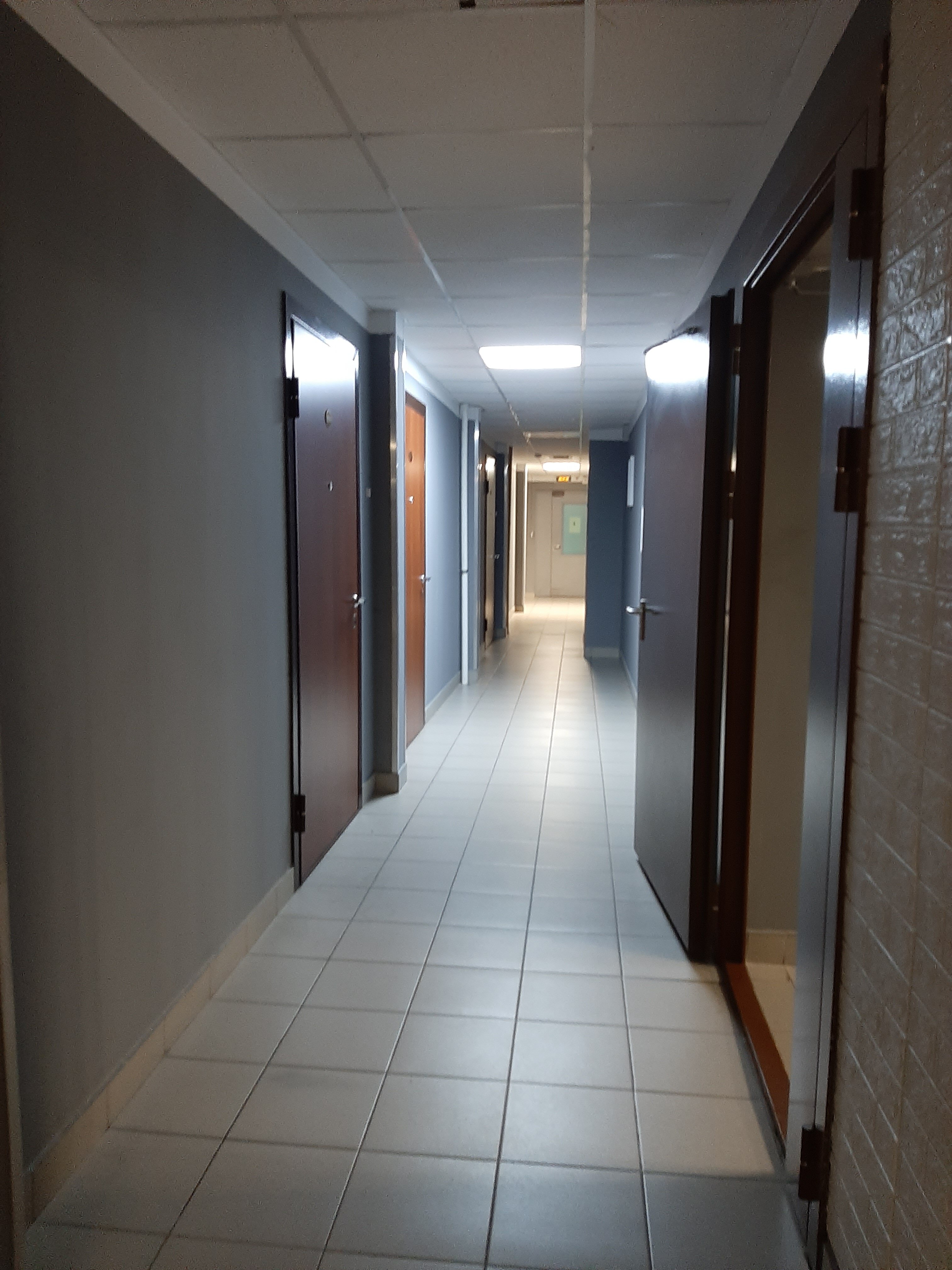 Фото Скайпарк