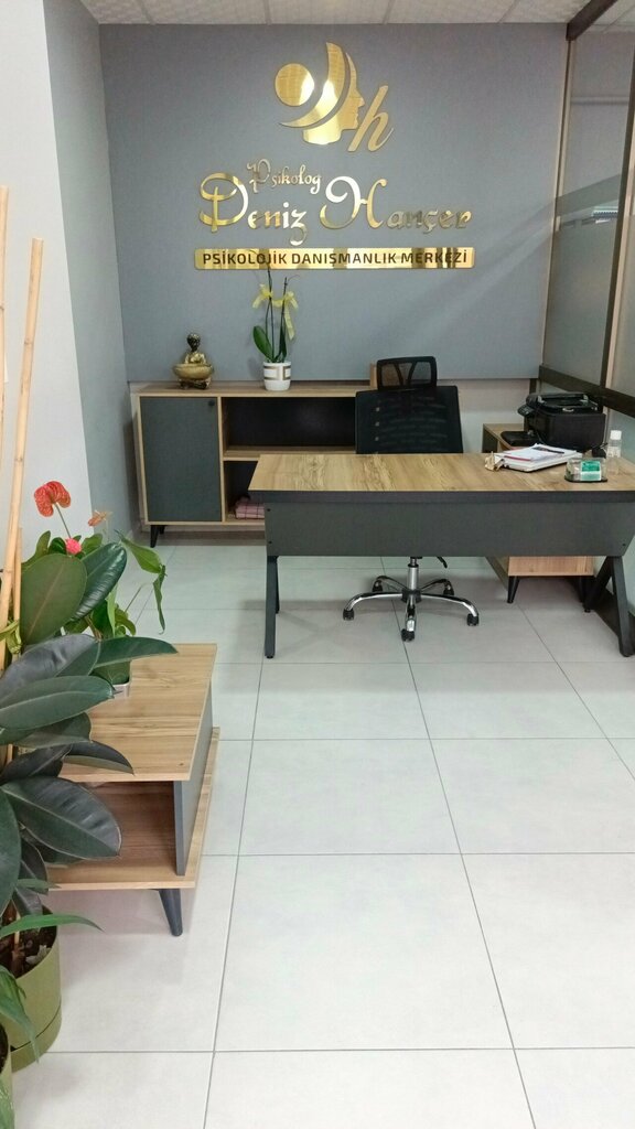Psychological service Psychologist Deniz Hancer, Konya, photo
