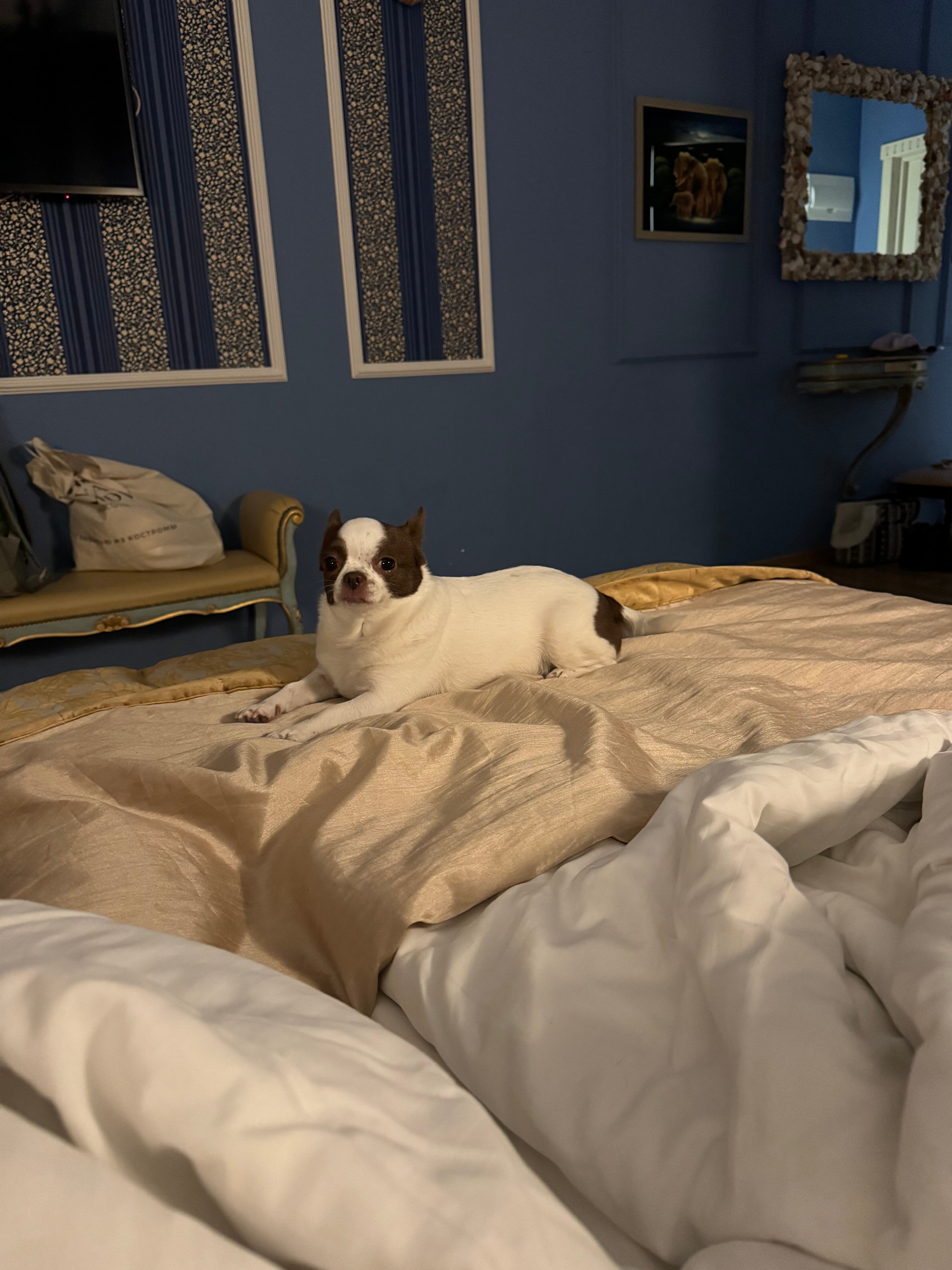 Фото Александровский