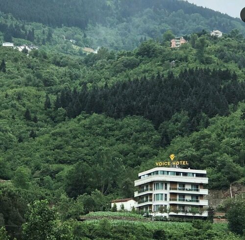 Гостиница Voice Hotel в Мачке