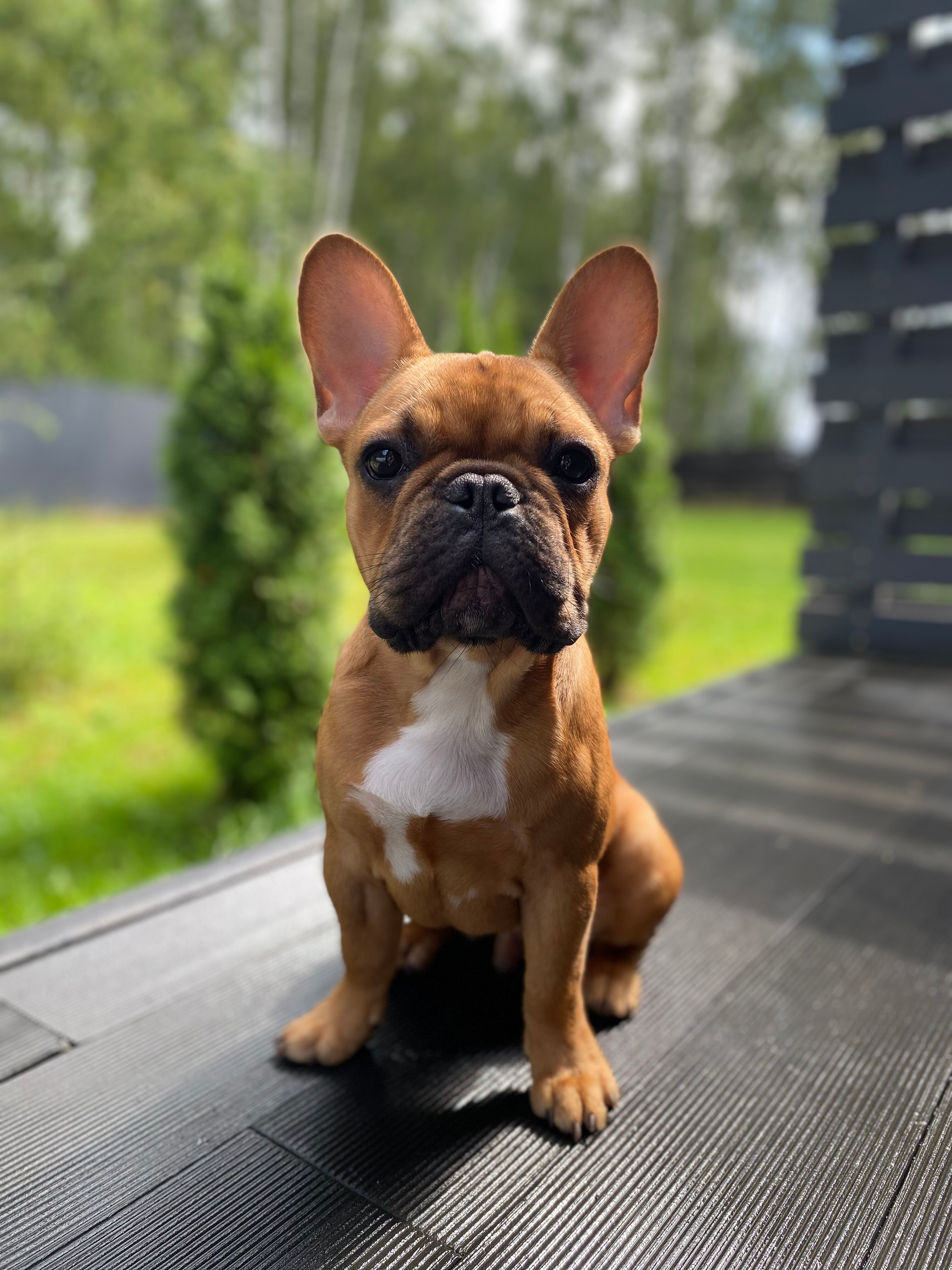 Фото Bereza Country