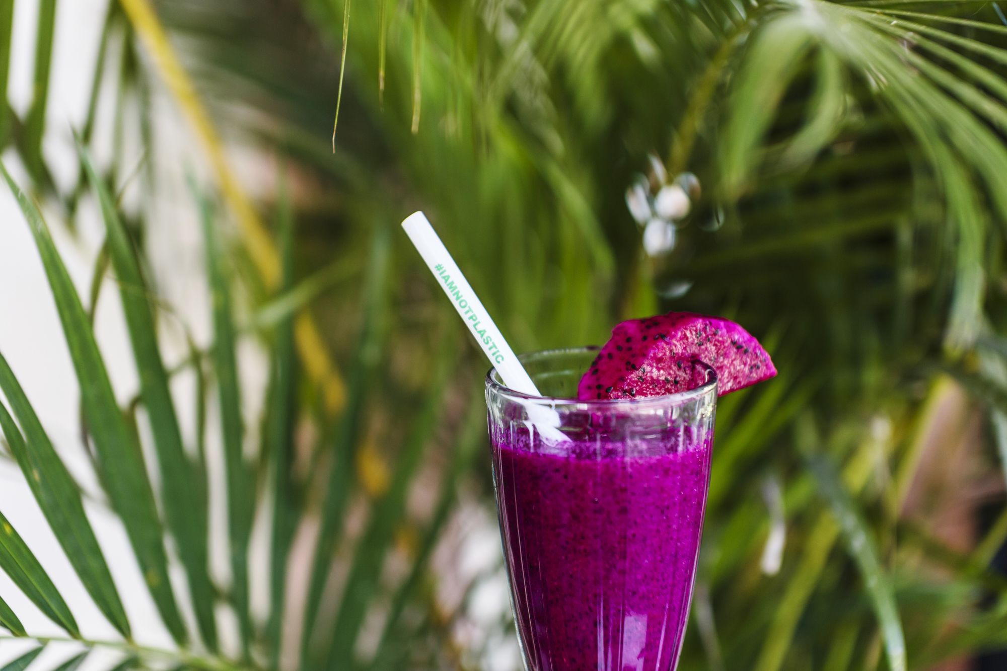 Фото Surfers House