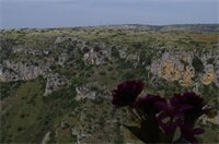 Фото Il Casale dei Sassi