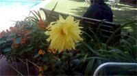 Фото Hotel Megh Niwas