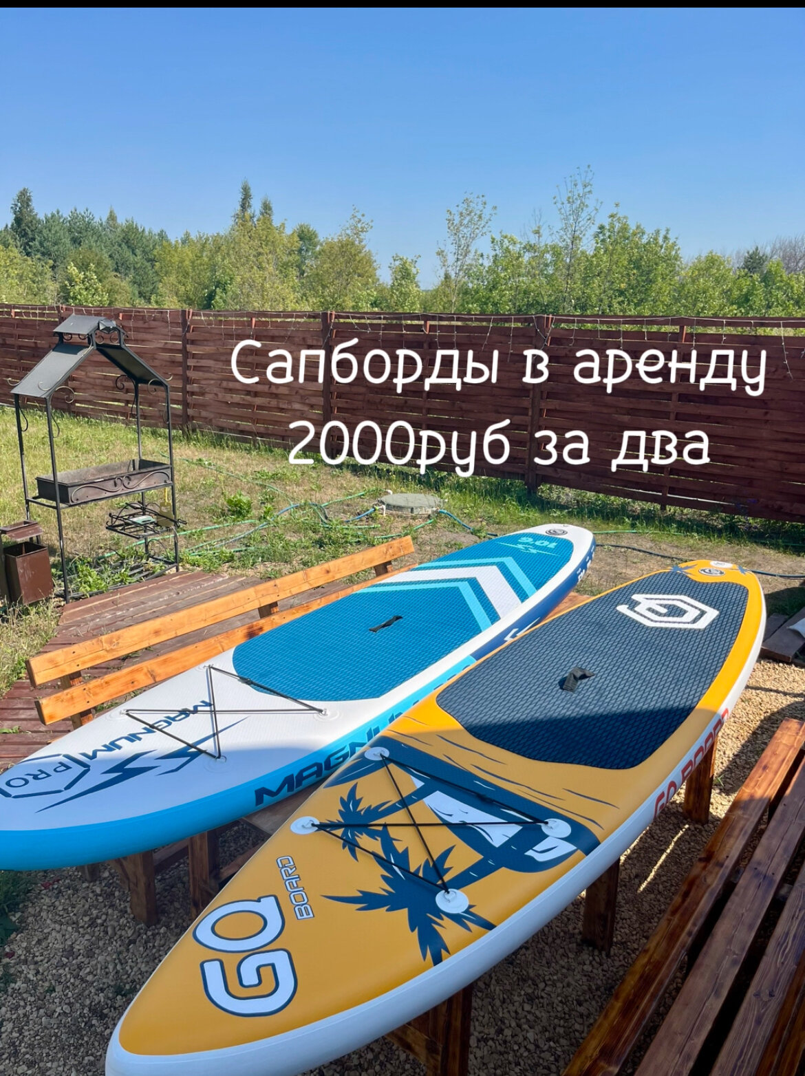 Фото Шишкин Афрейм