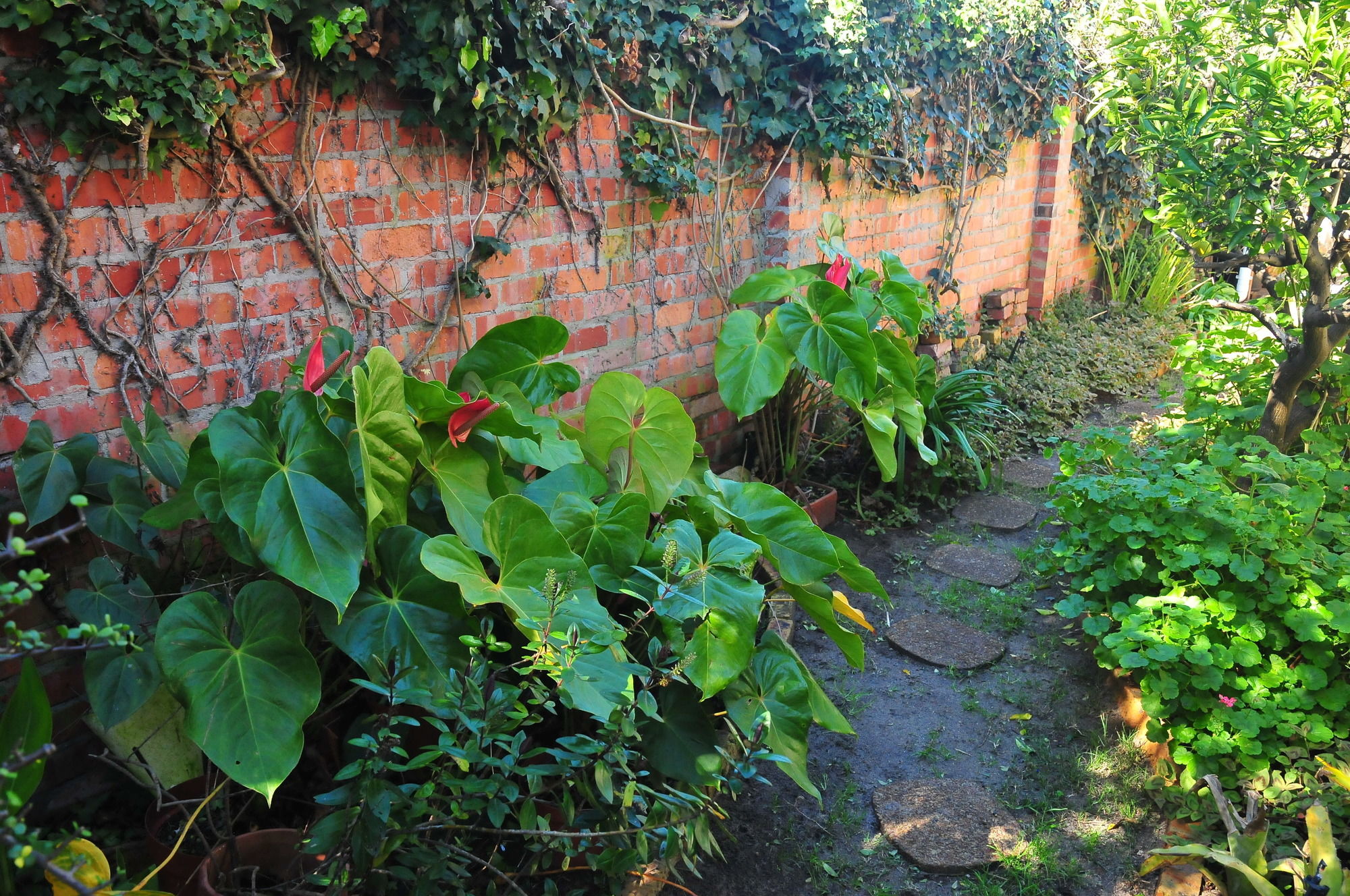 Фото Bradclin House