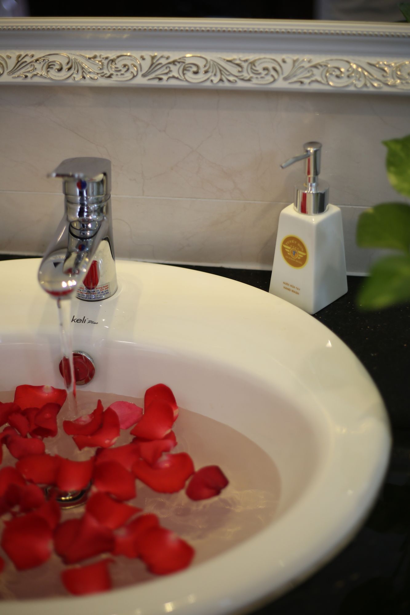 Фото Tuyet Son Hotel