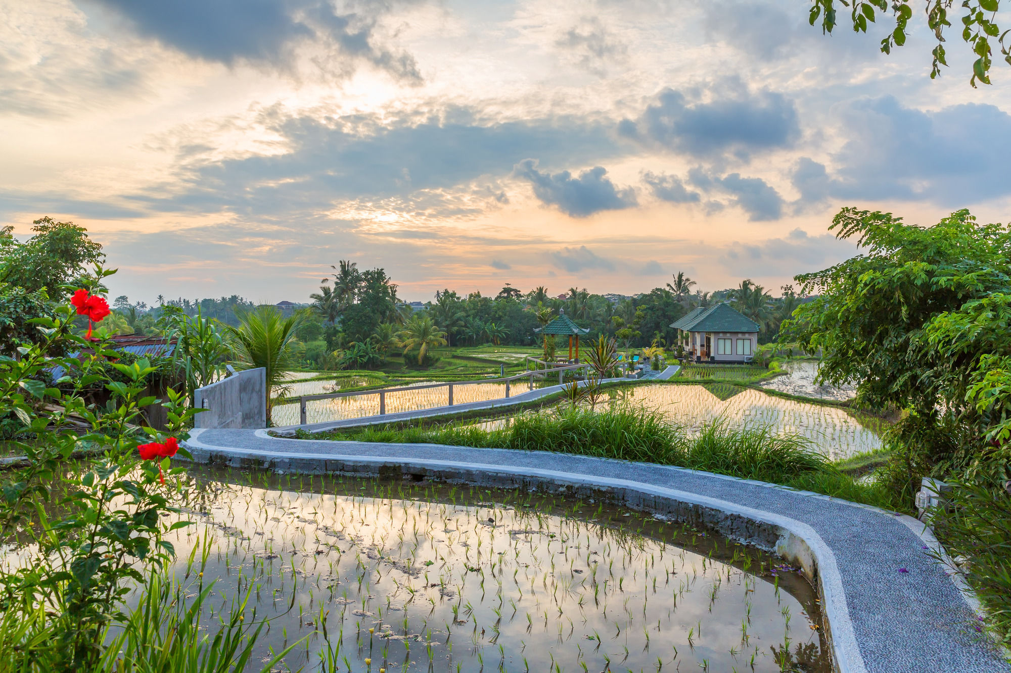 Фото Cahaya Ubud Villa