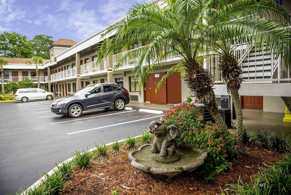 Фото Hotel South Tampa & Suites